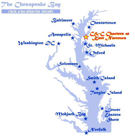 Chesapeake Bay Charters